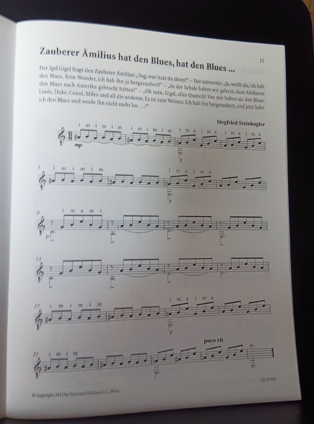 Strumenti musicali: Siegfried Steinkogler - Igel Gigels Gitarrenabenteuer – Nuovo (secondo la descrizione) da Bad Zurzach venduto da BG1 4