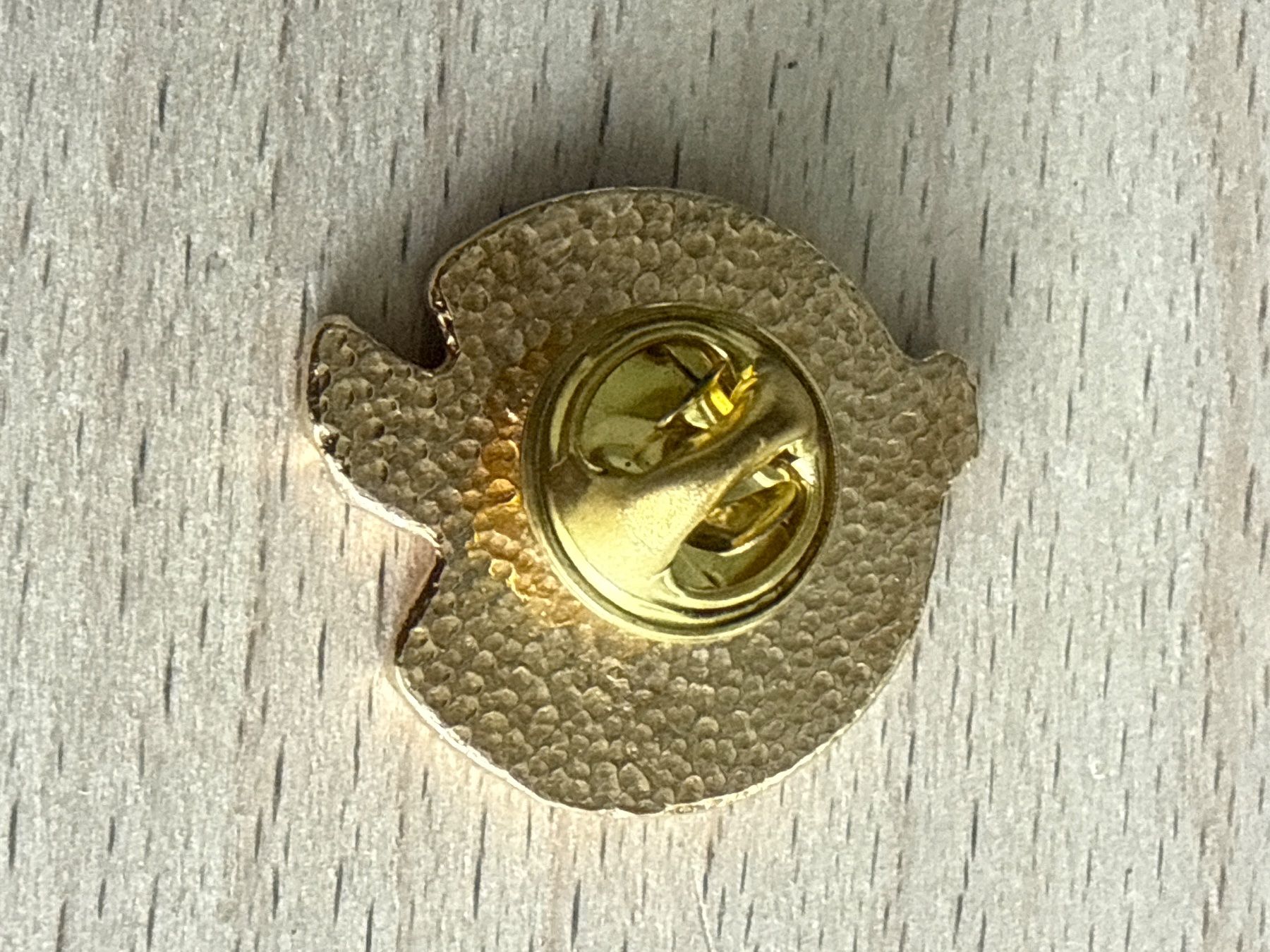 Placchette & Badge: Pin Chesley Homecoming 1995 115th Year – Usato da Glattbrugg venduto da Schweigmatt 1