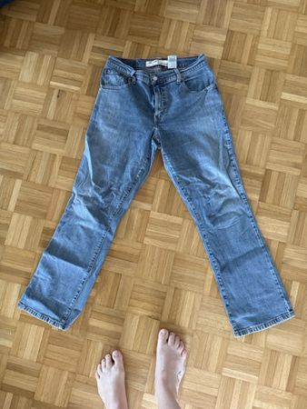 Levis 550