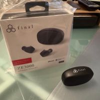 Final ZE3000 In-Ear-Kopfhörer (schwarz) NEU