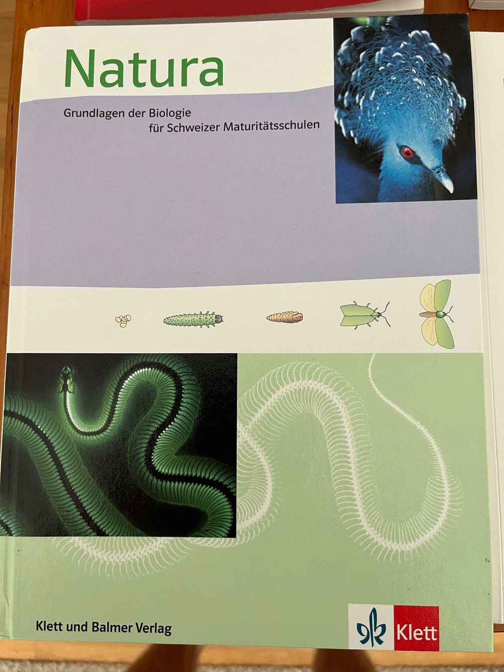 Libri: Matura Schulbücher Diverse – Usato da Adligenswil venduto da Stibe0 5