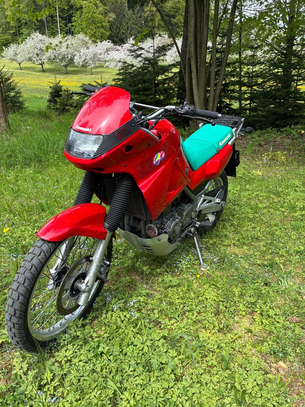 Kawasaki Enduro: Kawasaki kle 500 – Usato da St. Gallen venduto da MarkoBoss 1