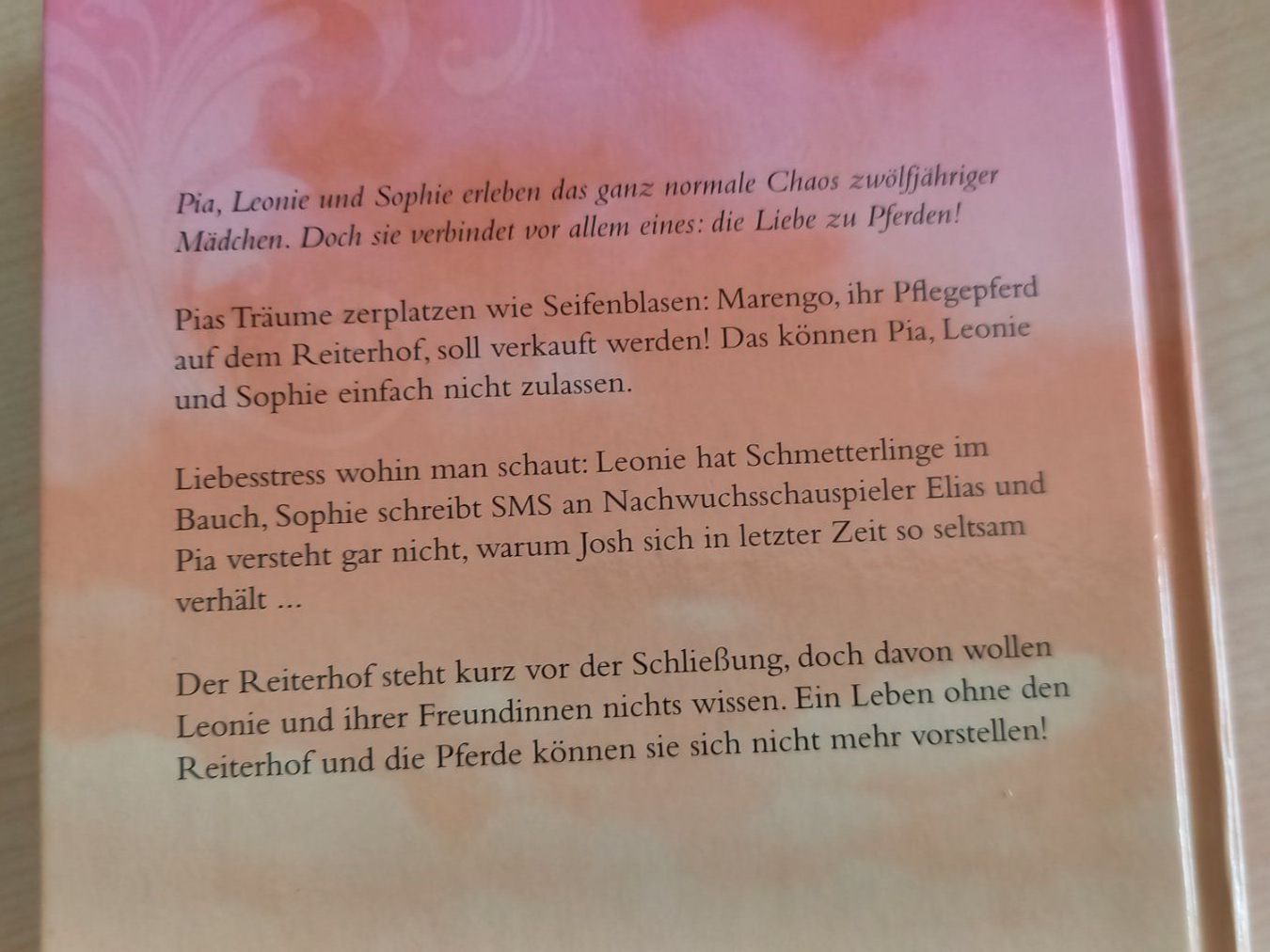 Libri: Mädchenroman / Jugendbuch / 360 Seiten – Usato da Steinhausen venduto da fal_zsm5 2
