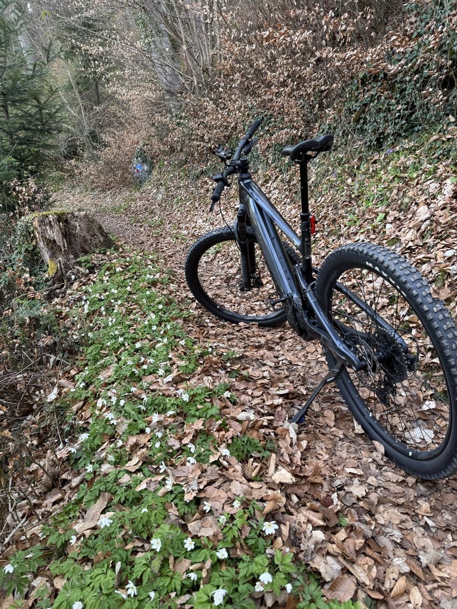 Giant Biciclette: VTT  ÉLECTRIQUE 400km GIANT STANCE E1 – Usato da Daillon venduto da Stefcar 1