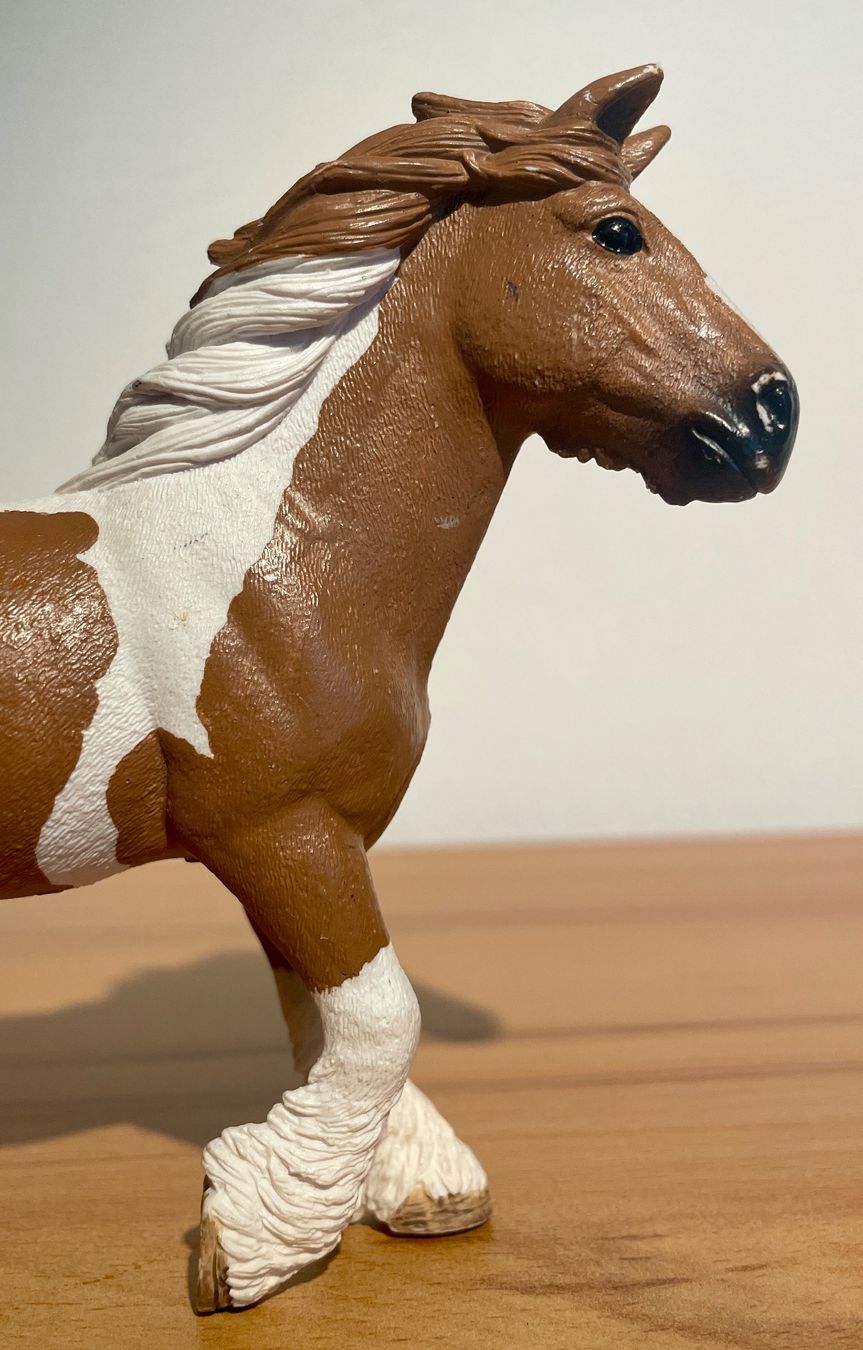 Schleich Giocattoli: Schleich 13773 - Farm World - Tinker Stute – Usato da Schöfflisdorf venduto da Soosie 3