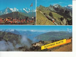 Schynige Platte um 1995