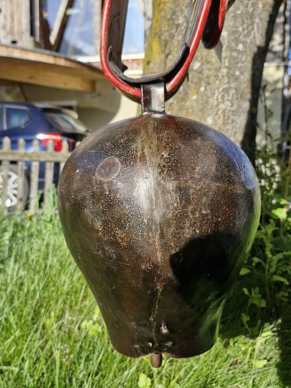 Campanacci mucche: Glocke Treichel  – Usato da Guarda venduto da rue_bpd7 1