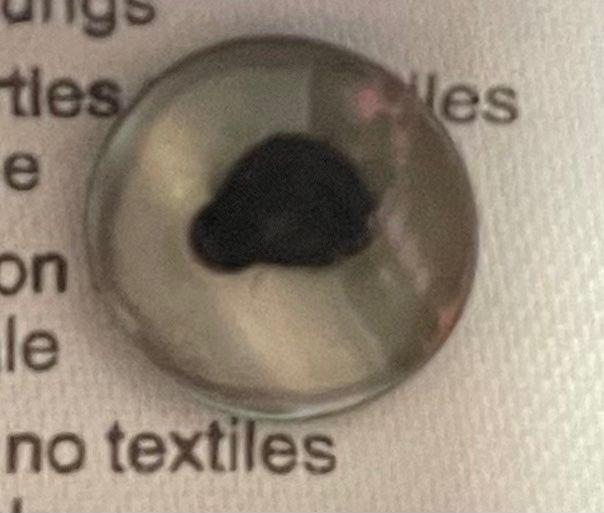 Esprit Camicette: Esprit, elegante Bluse mit auffälligem Ausschnitt, Grösse S – Usato da Niederweningen venduto da baghirac 6