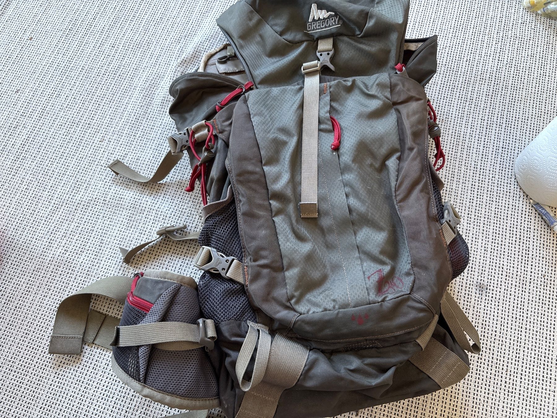 Gregory Zaini: Gregory Wander 30 Wanderrucksack – Usato da Cham venduto da syl_fs9s