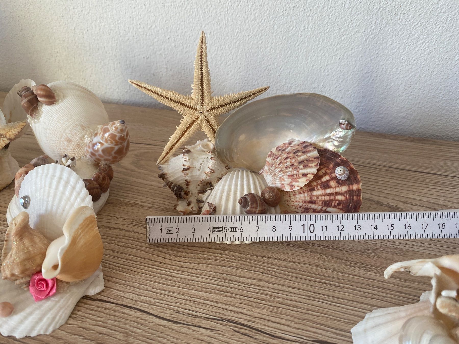 Alle Dekorationen: Dekorative Muscheln – Gebraucht aus Glattbrugg von RD-Shop 6