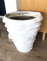 Blumentopf / Übertopf