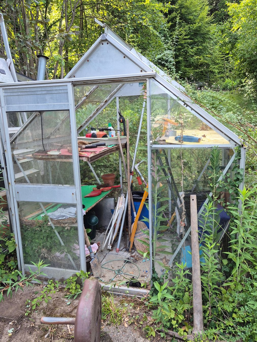 Gartenhäuser & Gewächshäuser: Geräte-Glashaus mit einigen zerbrochenen Scheiben gratis – Gebraucht aus Aesch ZH von pbre 1