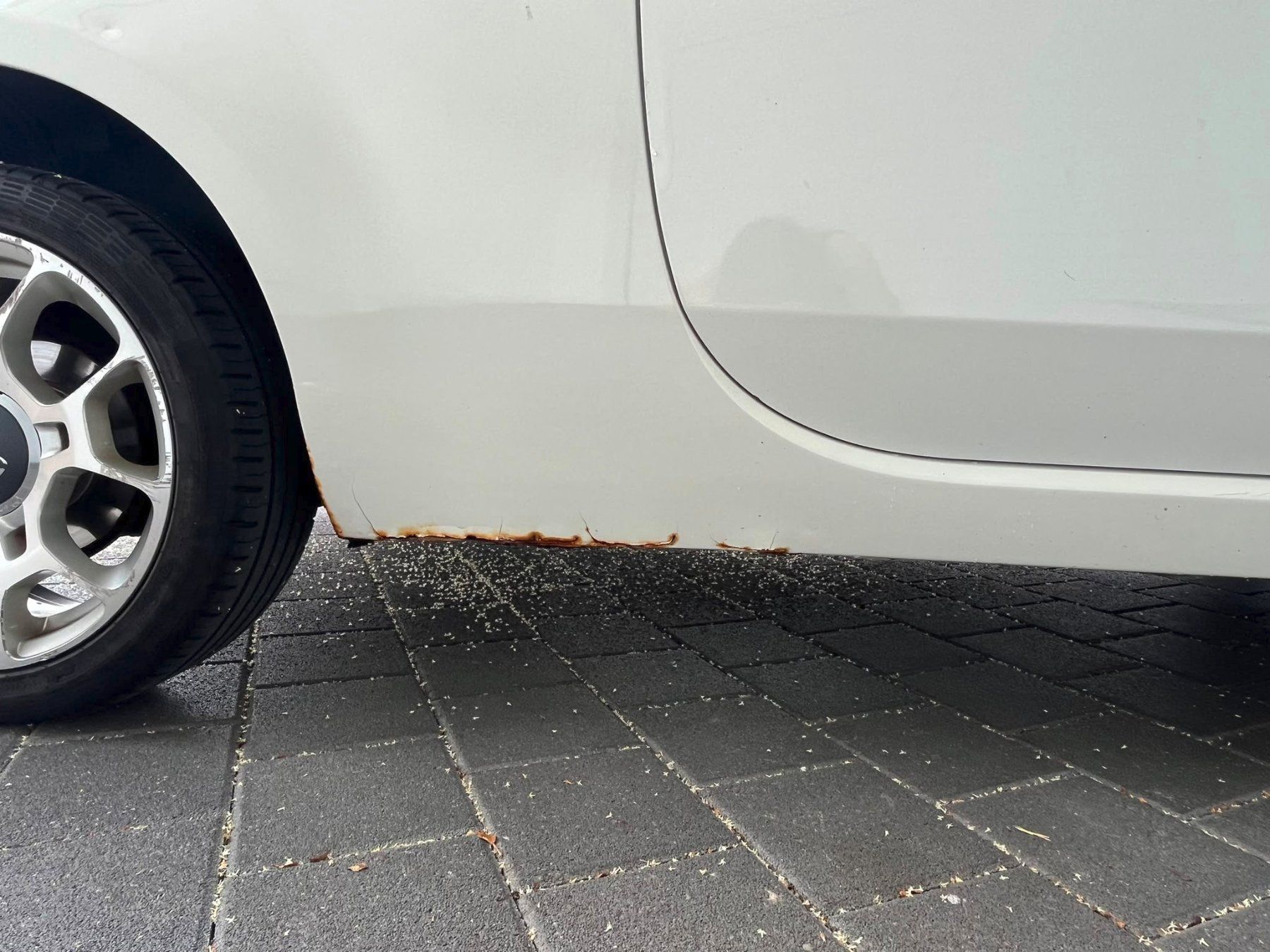 Fiat Autos: Fiat 500 1.4 16V – Gebraucht aus Adlikon b.Regensdf von Robi69 9