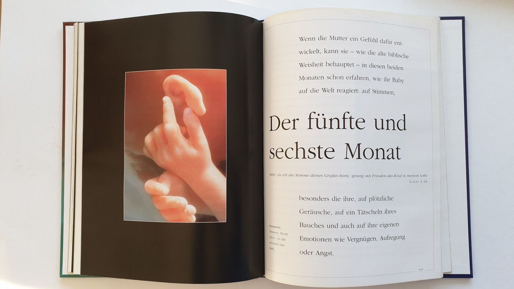 Libri: Ein Kind entsteht. – Usato da Goldach venduto da armando_r 4