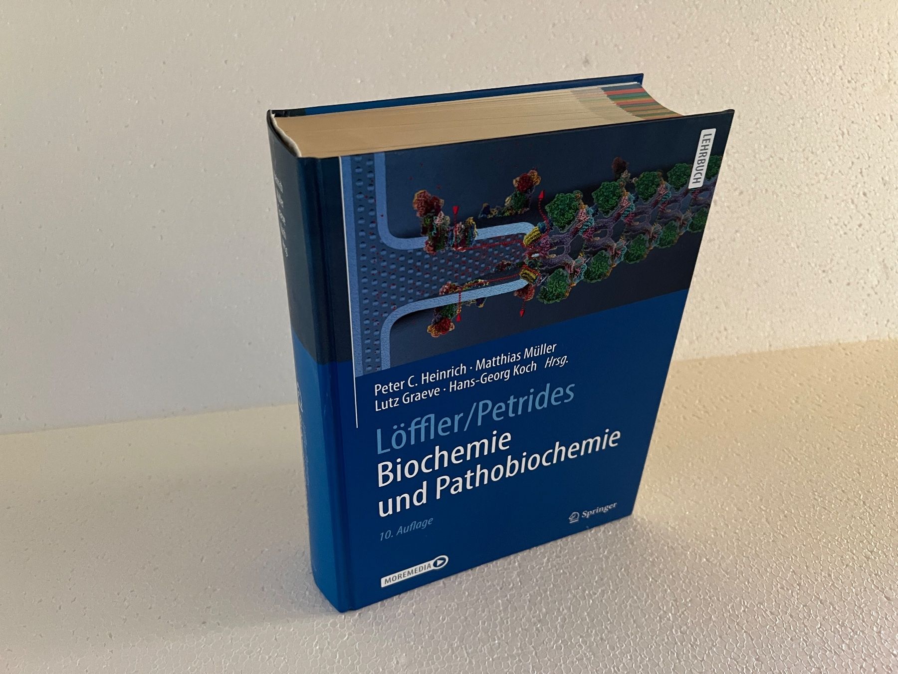 Libri: Lehrbuch Löffler/Petrides Biochemie Pathobiochemie – Nuovo (secondo la descrizione) da Häusernmoos venduto da adlerfedern 4
