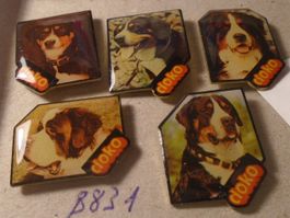 5 ver Hunde Pins (B831)