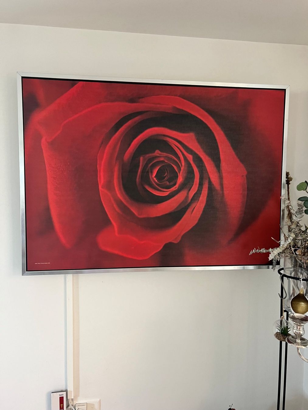 Foto & Immagini: Rosenbild zu Verkaufen – Usato da Nänikon venduto da jeannine20