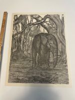 Lithografien von Paul Jouve (1875–1973)