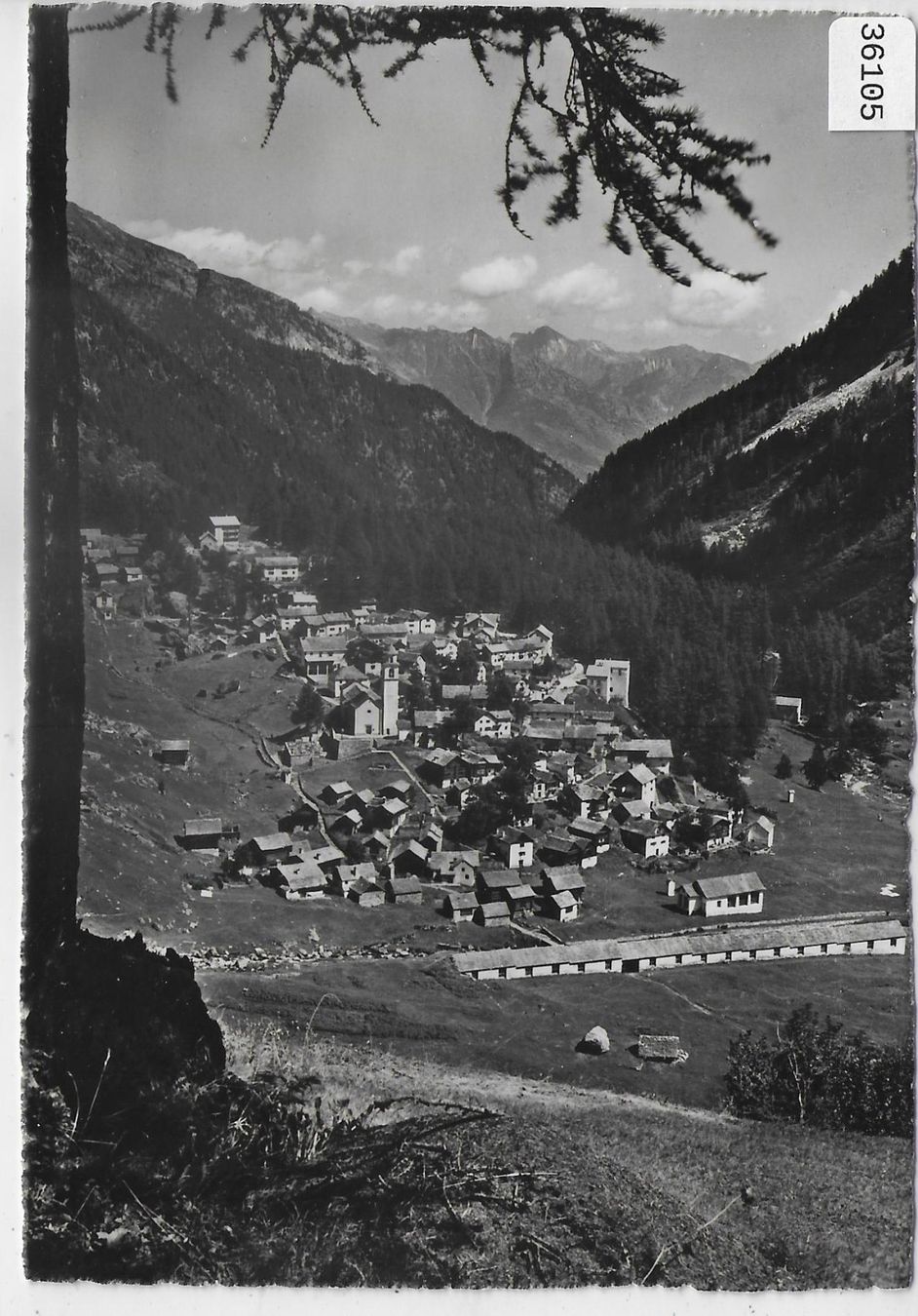 Cartoline postali: Bosco-Curin - Generalansicht – Usato da Ettingen venduto da Kartenplanet