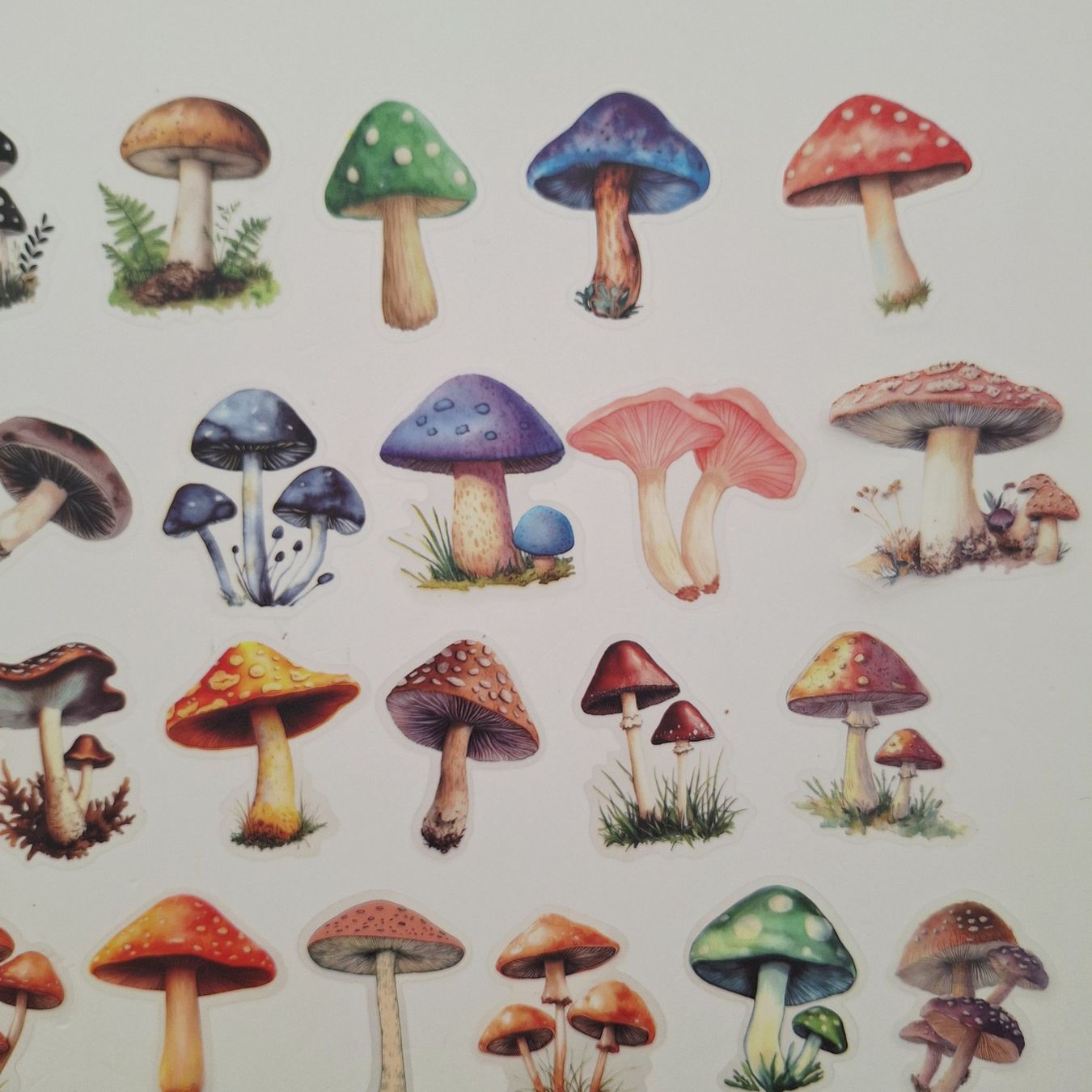 Sticker: 50 Aufkleber Sticker - Pilze – Nuovo e nell'imballaggio originale da Basel venduto da Kunterbunt12 2