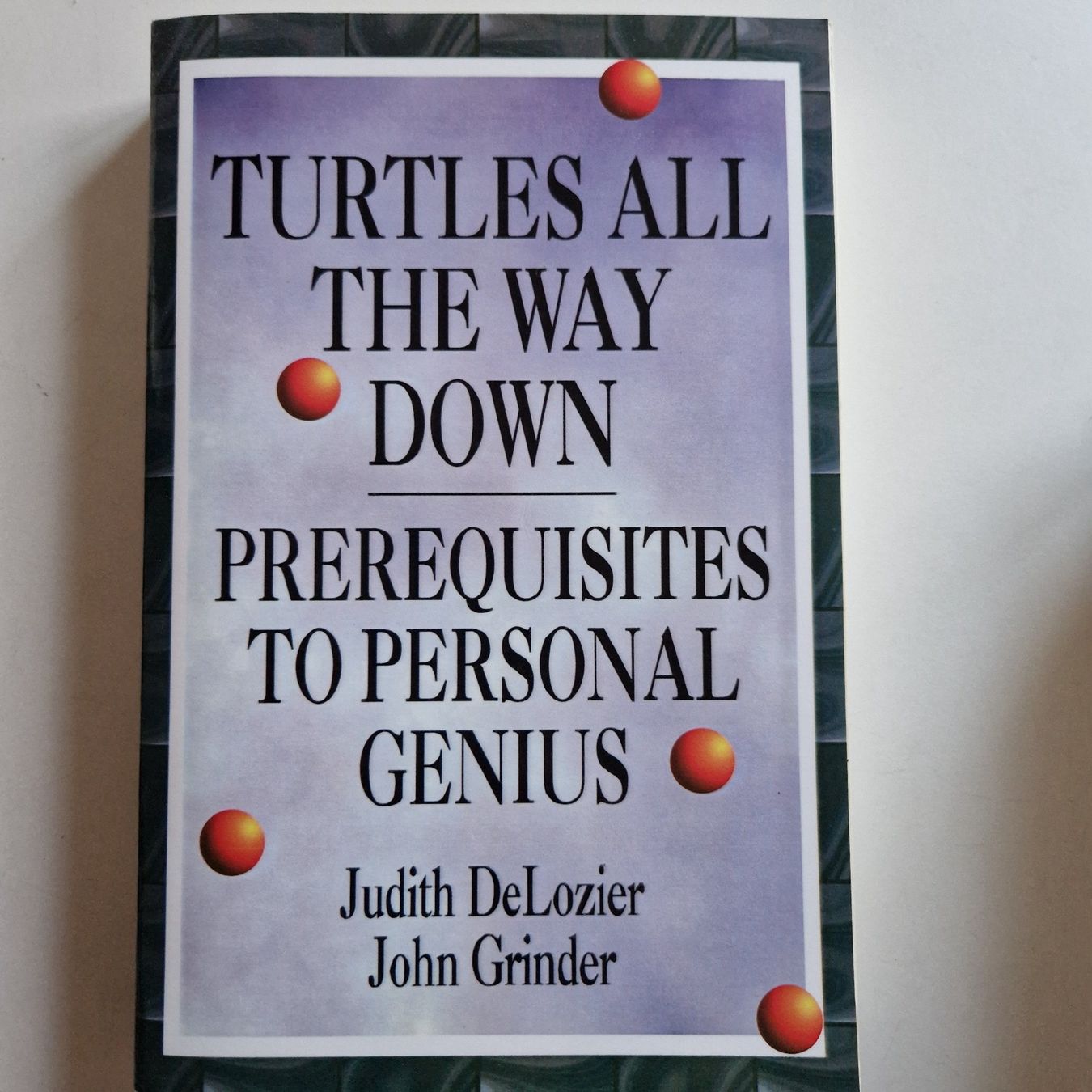 Bücher: Turtles All The Way Down – Neu (gemäss Beschreibung) aus Rüti ZH von Gigelisuppe