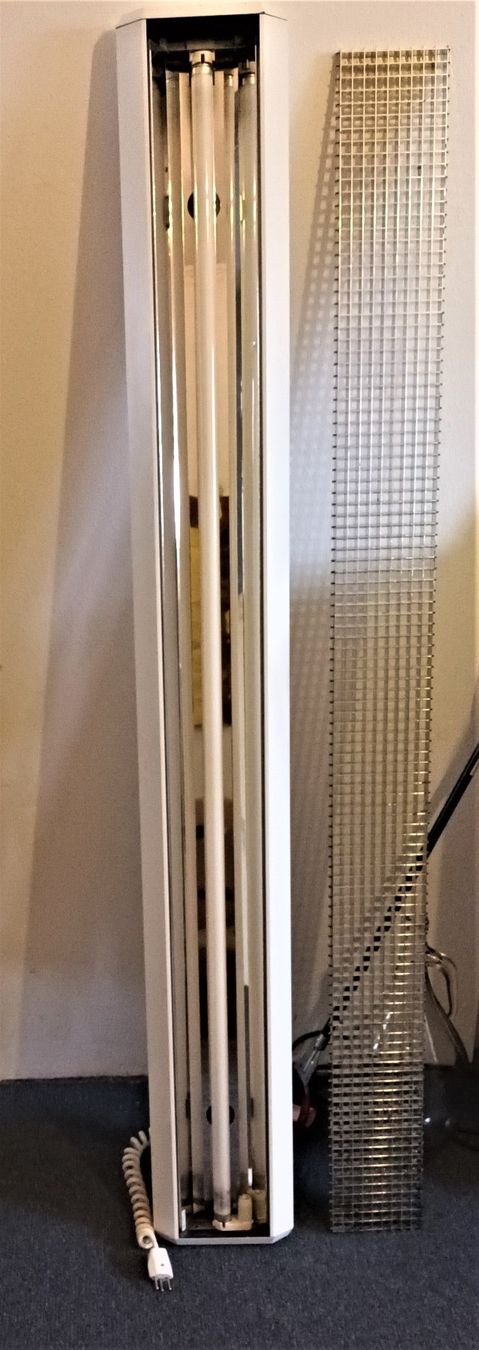 Lampade: Fluora Deckenleuchte mit Stecker, Neonlampe,  ca. 160 cm – Usato da Vaduz venduto da Bergtiger 3