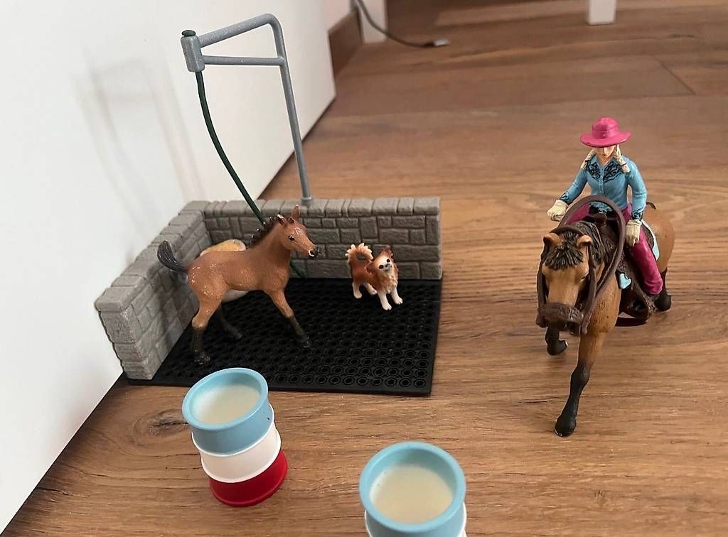 Jouets: Schleich Waschplatz – D'occasion à Stein am Rhein par kuh_5g2h