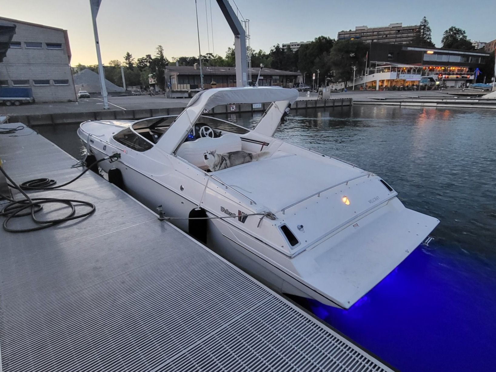 Wellcraft Barche: Wellcraft Scarab 34 Excel 1993 (final version) – Usato da Oron-la-Ville venduto da NiKi-Pictures 3