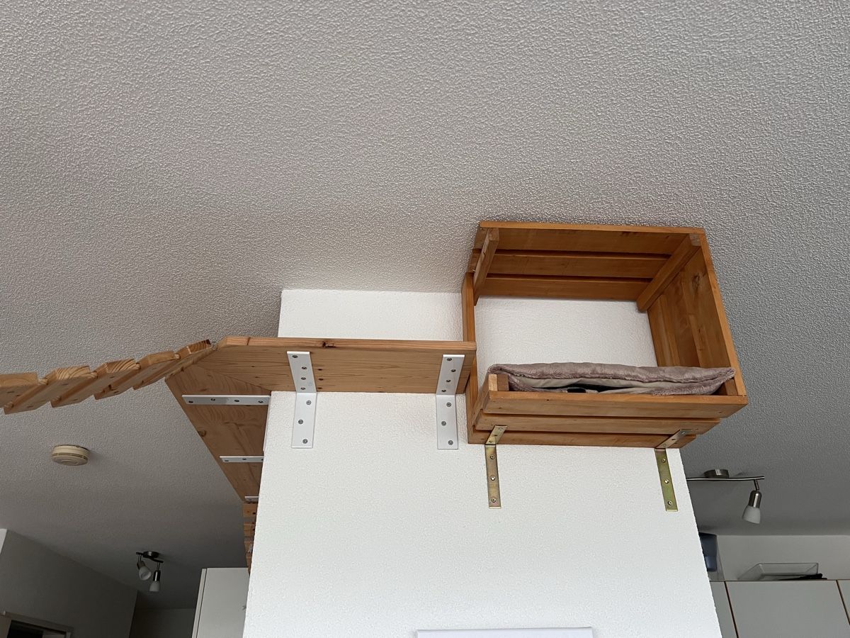 Pareti & prese d'arrampicata: Kletterwand Katzen – Usato da Uster venduto da NElsner 4