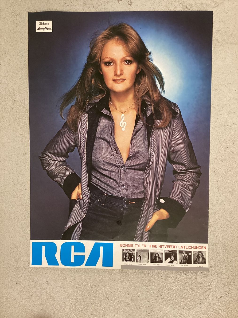 Foto & Immagini: Promoplakat Bonnie Tyler – Usato da Gutenswil venduto da Hamzian