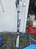 Elan Silver Perla Ski Damen 152cm Skistock guter Zustand