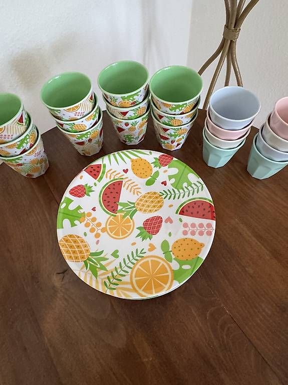 Set di piatti: Melamin-Teller und Becher – Usato da Bern venduto da Ninitto 4