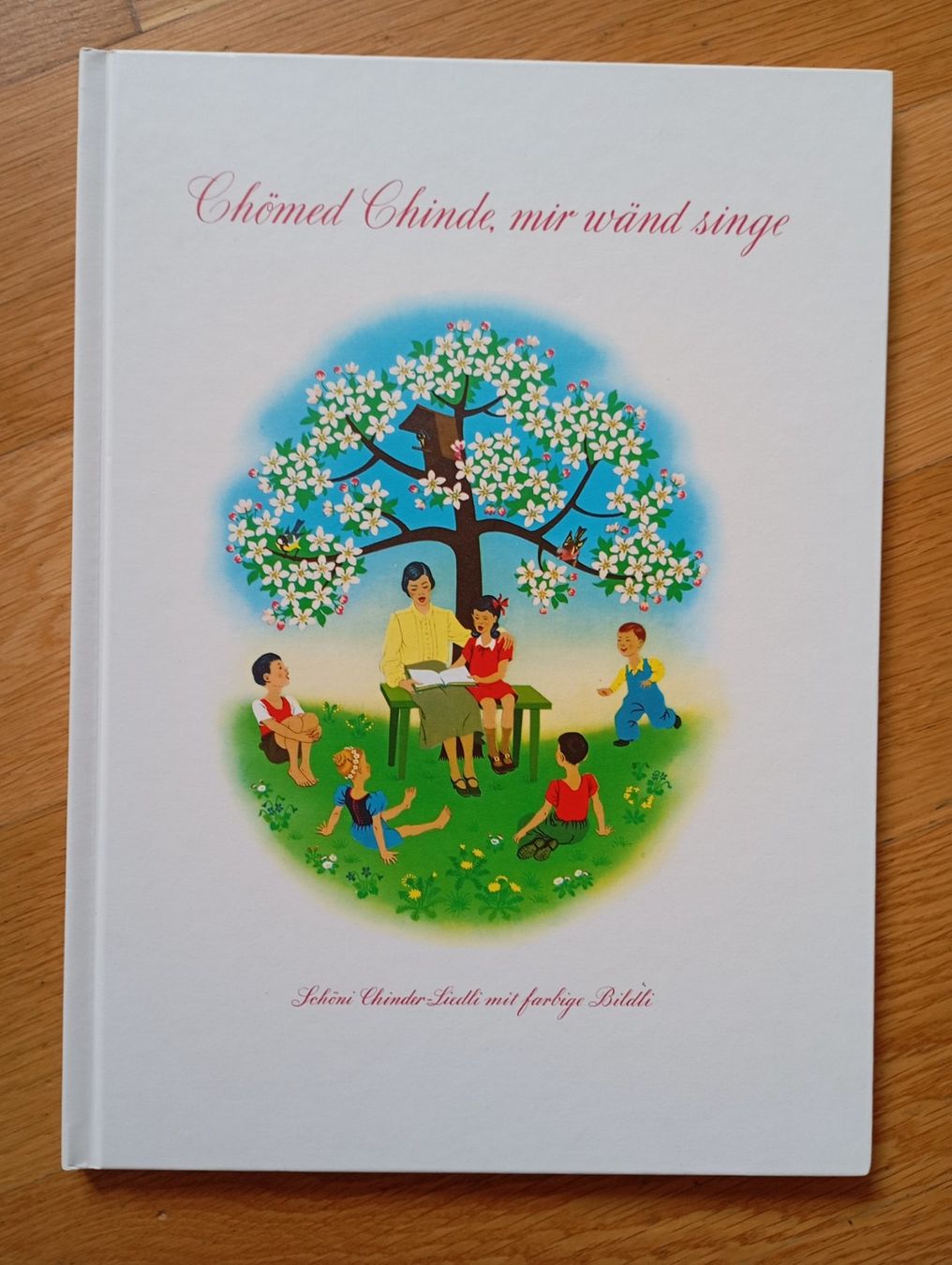 Libri: Chömed Chinde, mir wänd singe Buch – Usato da Dinhard venduto da R.B.G23