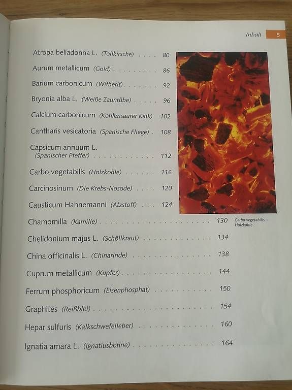Libri: Handbuch der Homöopathie – Usato da Rothenburg venduto da Priska_70 2