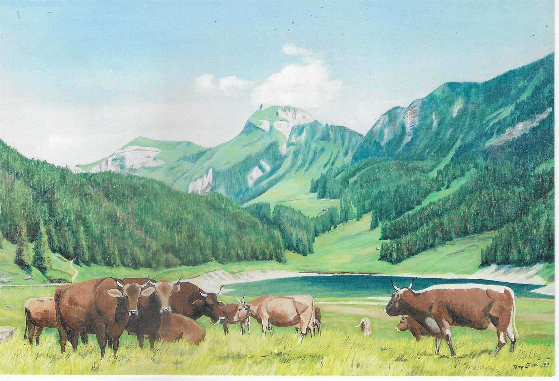 Cartoline postali: Tony Sutter "Sämtisersee mit Kasten und – Usato da Ettingen venduto da Kartenplanet