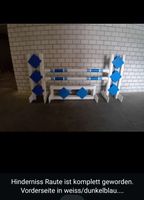 Hinderniss Raute in 3D