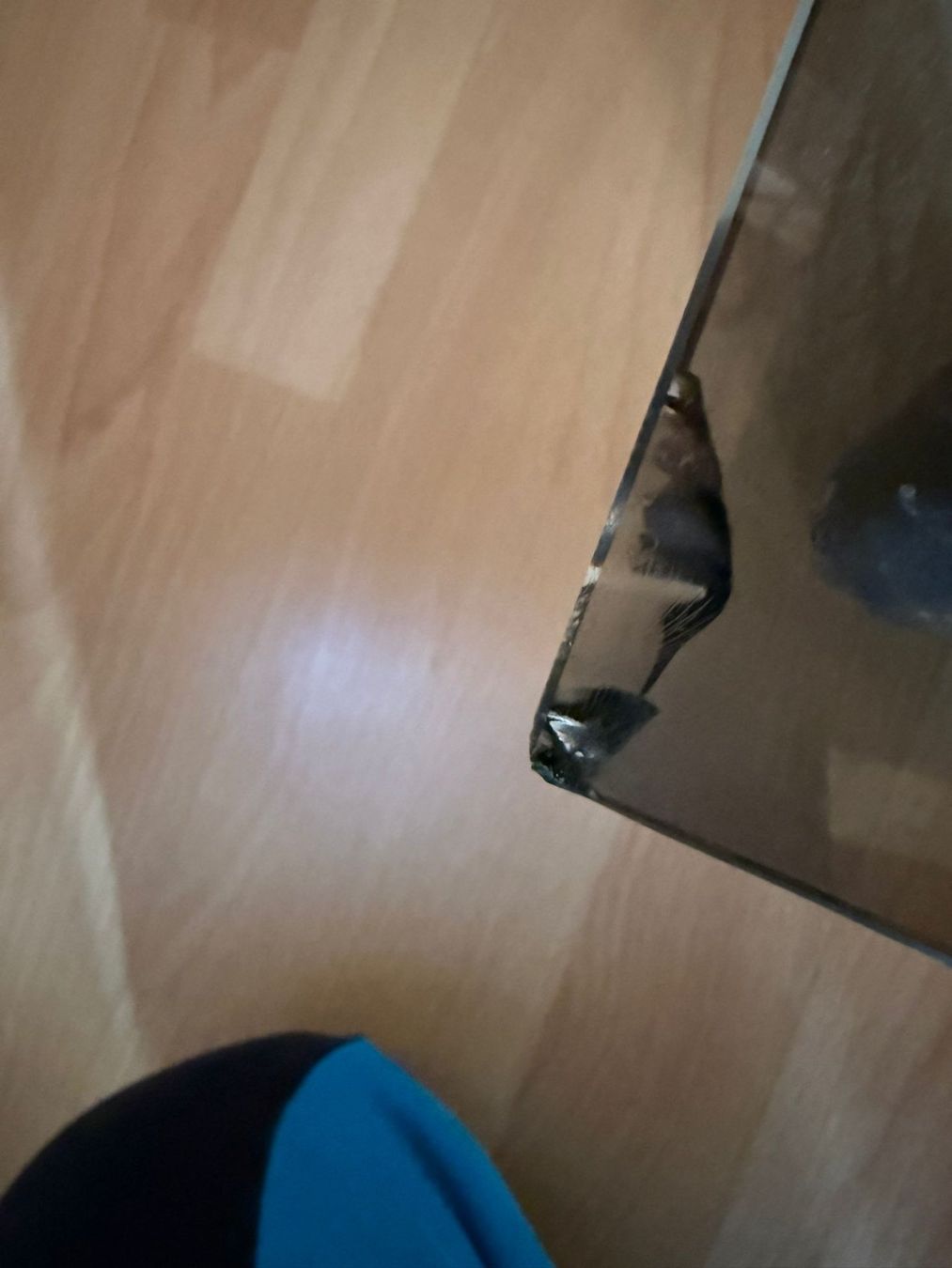 Supporti a parete: Hi-Fi Rack – Usato da Nussbaumen AG venduto da BanaanaJoe 7