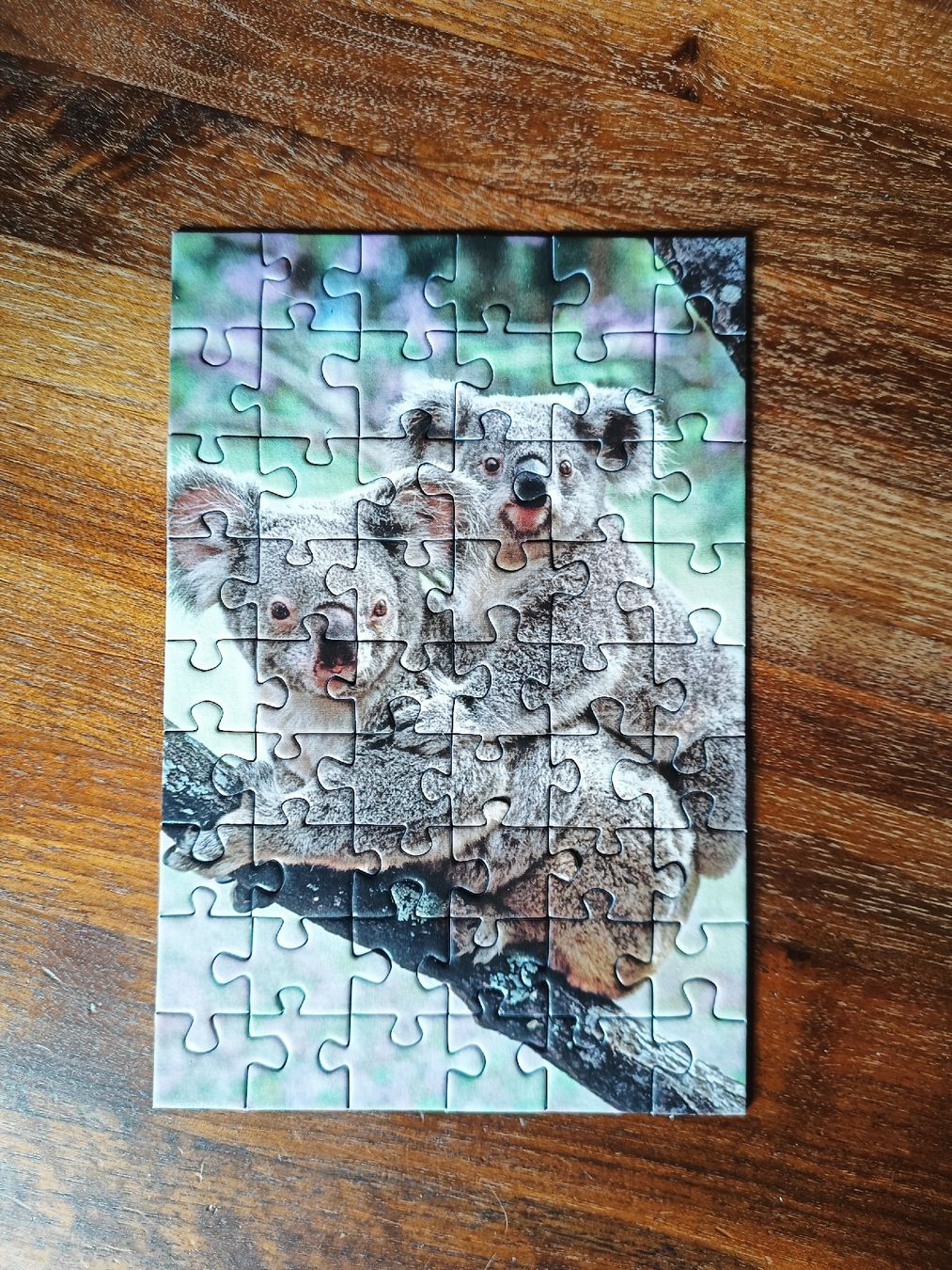 Ravensburger Puzzles: Kleine Puzzles Koala & Hamster – Gebraucht aus Buochs von NAmb 1
