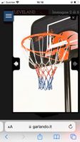 basketball 🏀 USA 🇺🇸 idéal pour le plein air