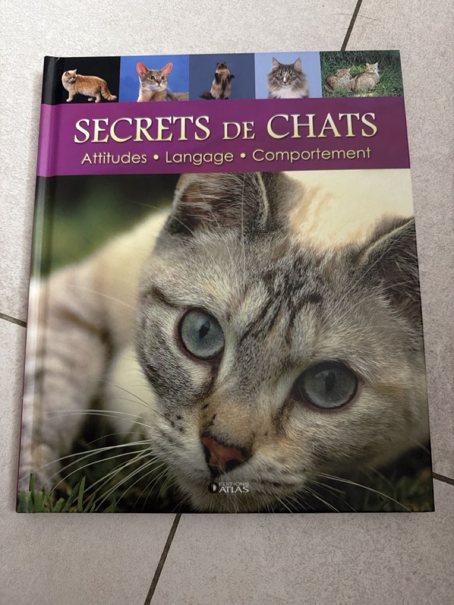 Libri: Secrets de Chats Attitudes Langage Comportement Book – Usato da Martigny venduto da Jacoosh1234