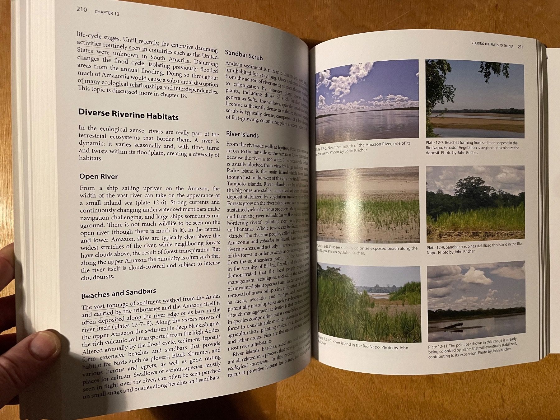 Libri: John Kricher. The Neotropical Companion – Usato da Zürich venduto da WWehrle 2
