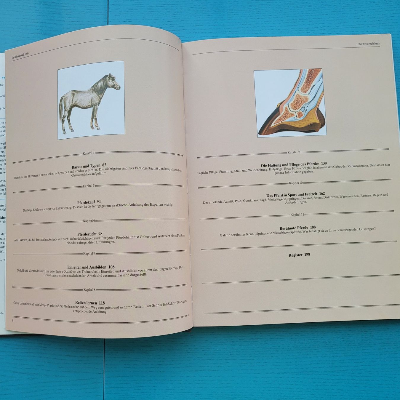 Libri: Das grosse Buch vom Pferd – Usato da SCHÜBELBACH venduto da CoKaHa 3