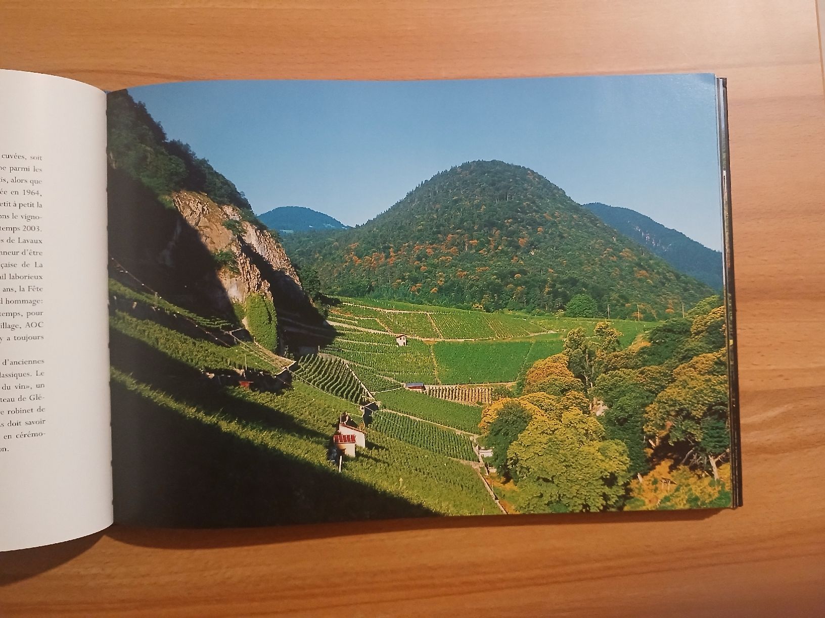 Libri: Vignobles Suisses – Usato da Le Sentier venduto da arc_2thy 5