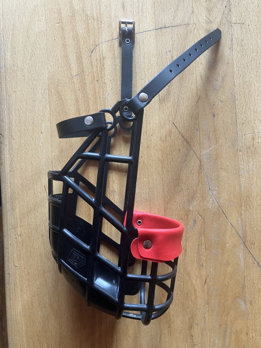 Leine & Halsband: Windhundmaulkorb soft – Neu (gemäss Beschreibung) aus Utzigen von Gigi007 1