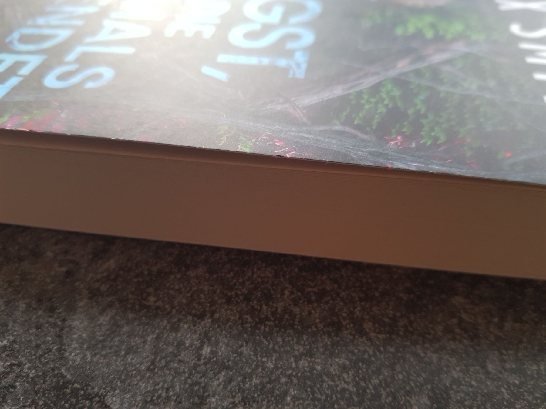 Bücher: DIE ANGST DIE NIEMALS ENDET / Alex Smith / Thriller 2025 – Gebraucht aus Dietikon von marconi07 2