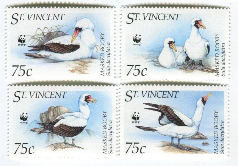 Tutti i francobolli: Briefmarken "Maskentölpel". St. Vincent – Nuovo e nell'imballaggio originale da Basel venduto da Butsch5