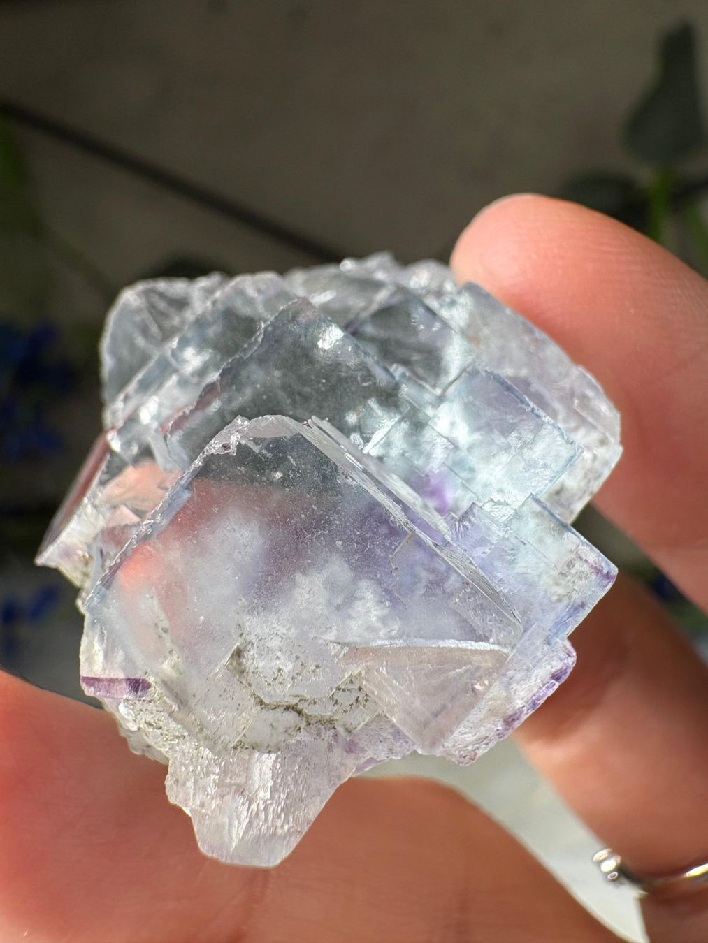 Minerali & Pietre curative: Yaogangxian Fluorit – Nuovo (secondo la descrizione) da Neuheim venduto da m.hald 7