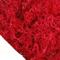 Natur-Moos rot zu Deko-Zwecken 25g