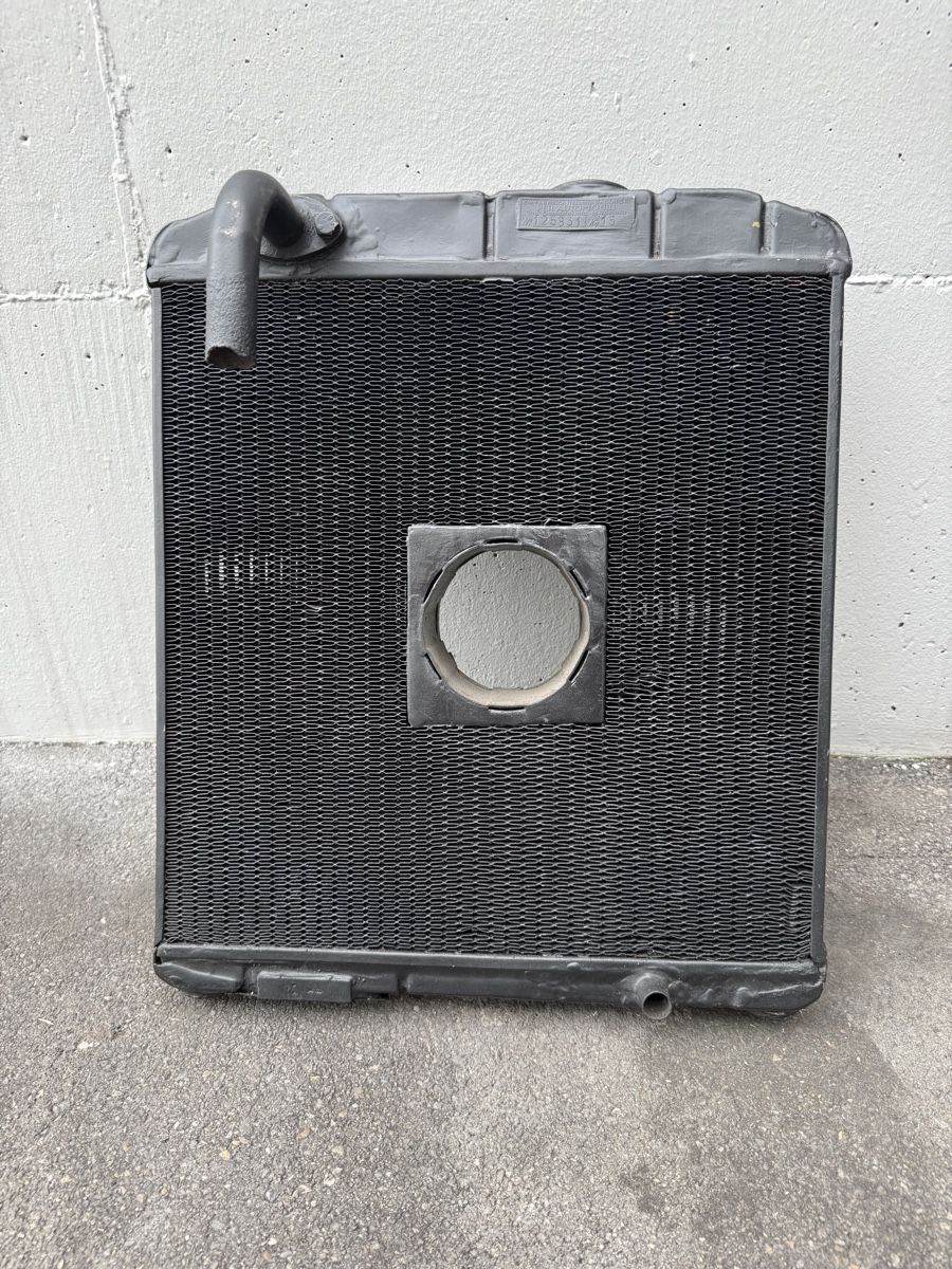 Lancia Tutti pezzi di ricambio auto: Kühlergrill Lancia Oldtimer – Usato da Gossau ZH venduto da jjdrive