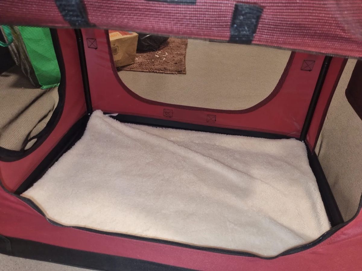 Cucce & Letti: Hundetransport box – Nuovo (secondo la descrizione) da Luzern venduto da Mangolina 3